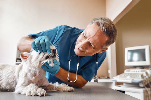 Best 24-Hour Emergency Dentist in Peachtree City, GA
